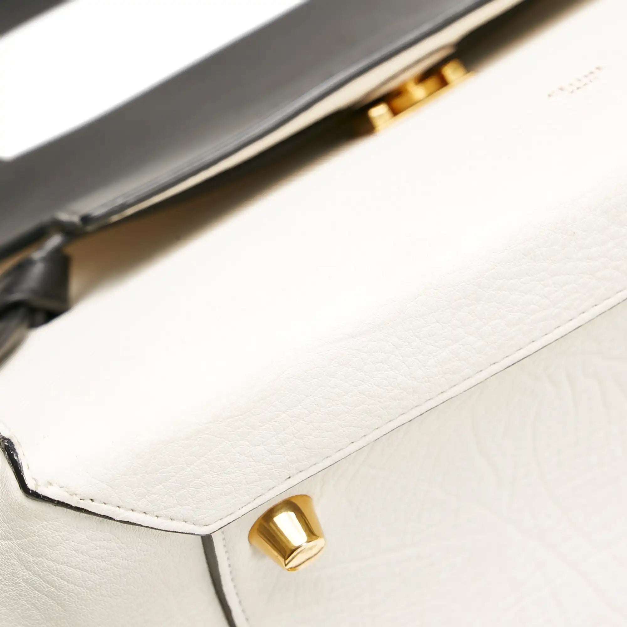 Celine Belt Bag Micro White Calfskin