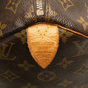 Tela di louis vuitton veloce 30 monogramma