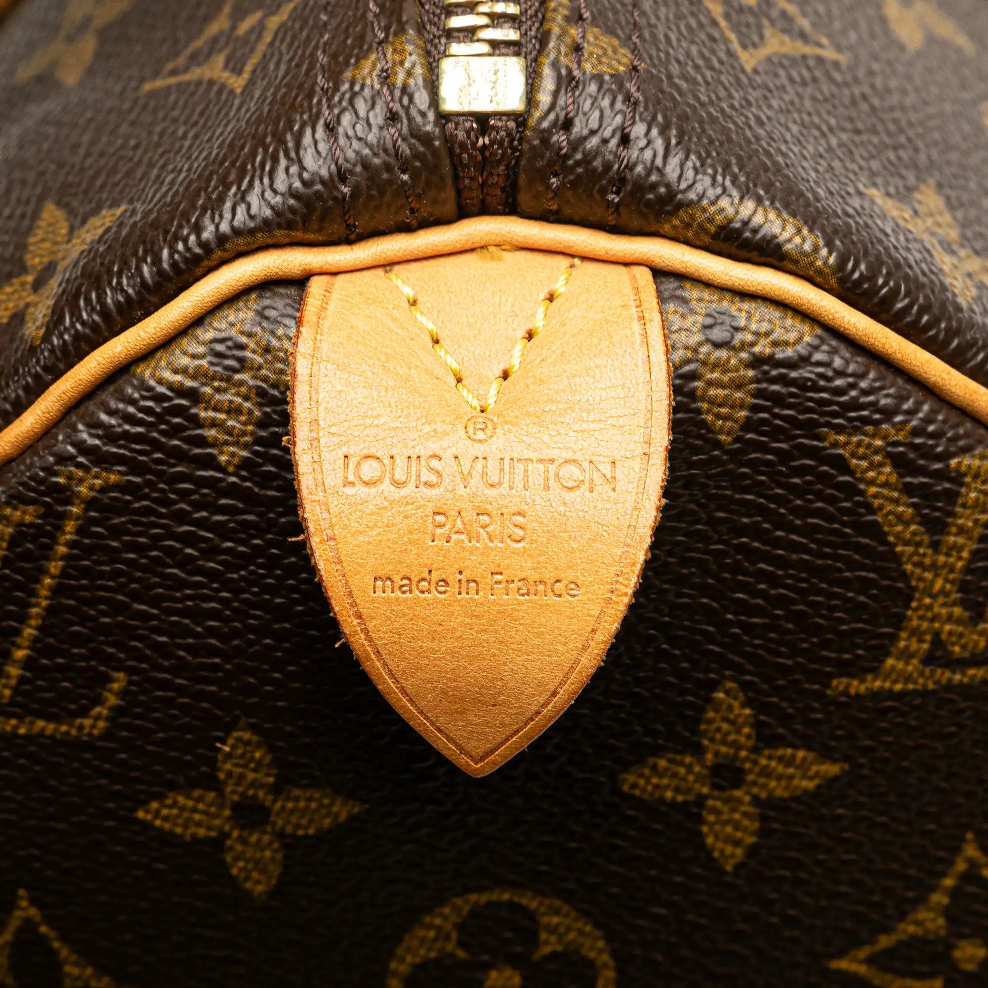 Tela di louis vuitton veloce 30 monogramma