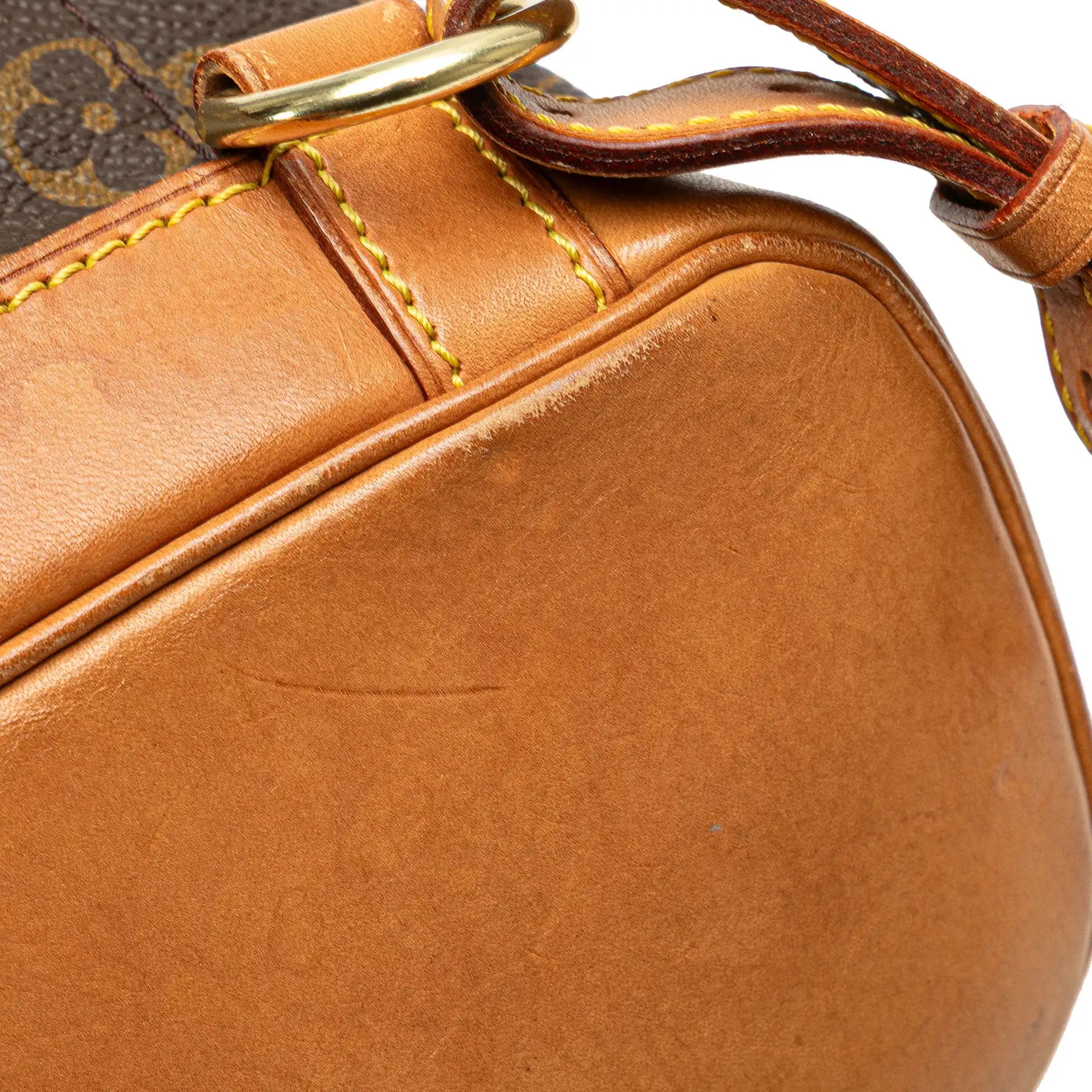 Louis Vuitton Montsouris mm Monogram Canvas