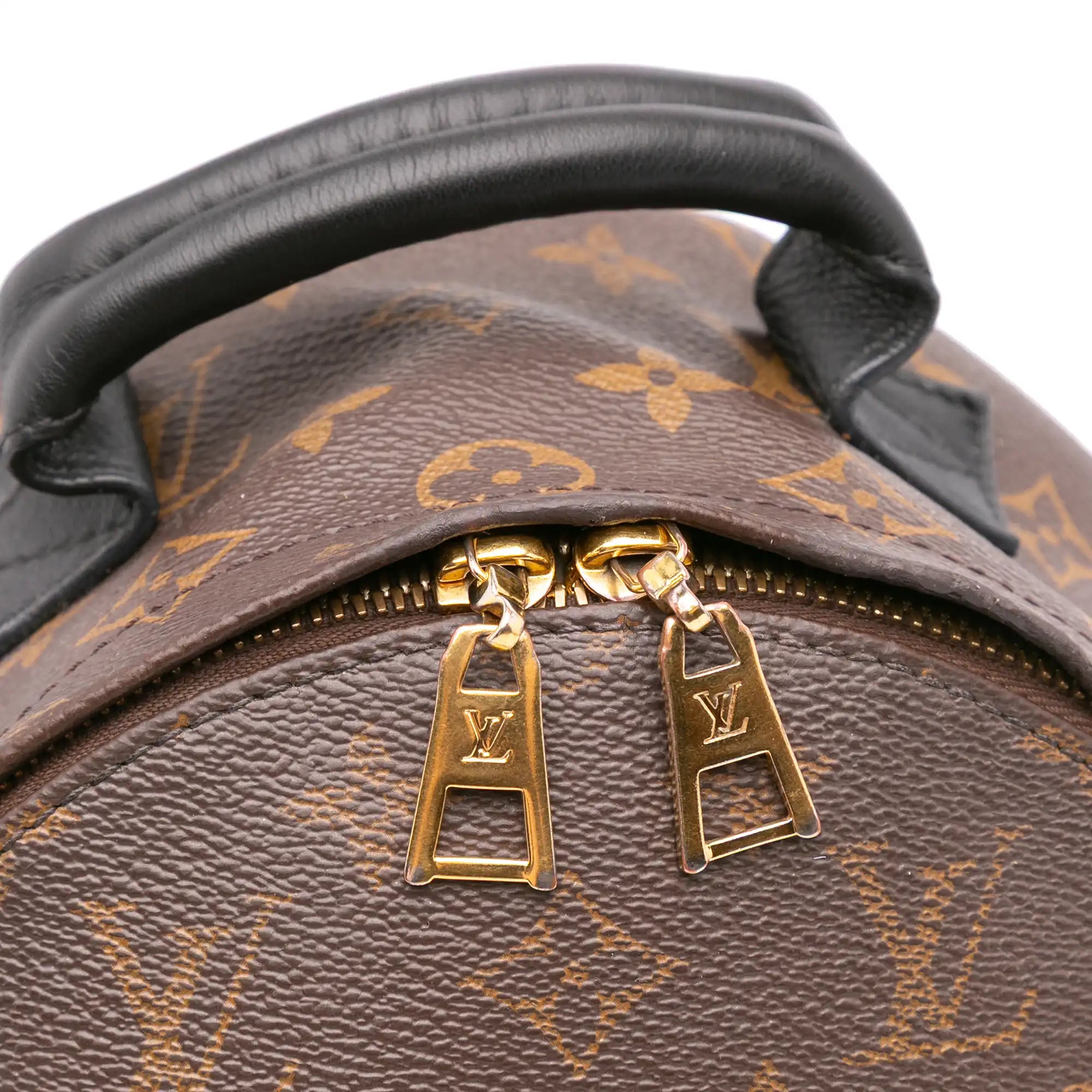 Louis Vuitton Palm Springs Backpack PM Monogram Reverse