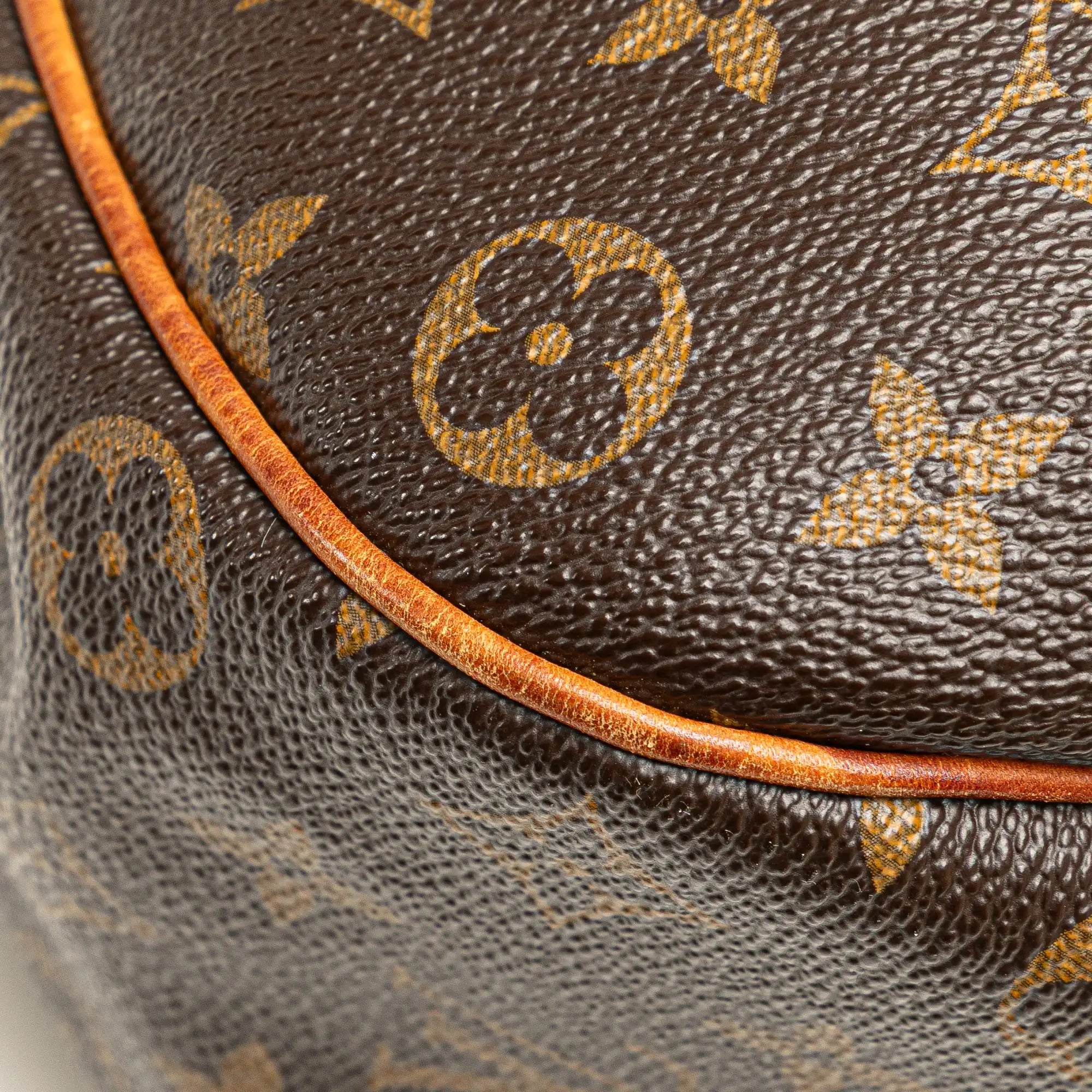 Louis Vuitton Galliera PM Monogram Canvas