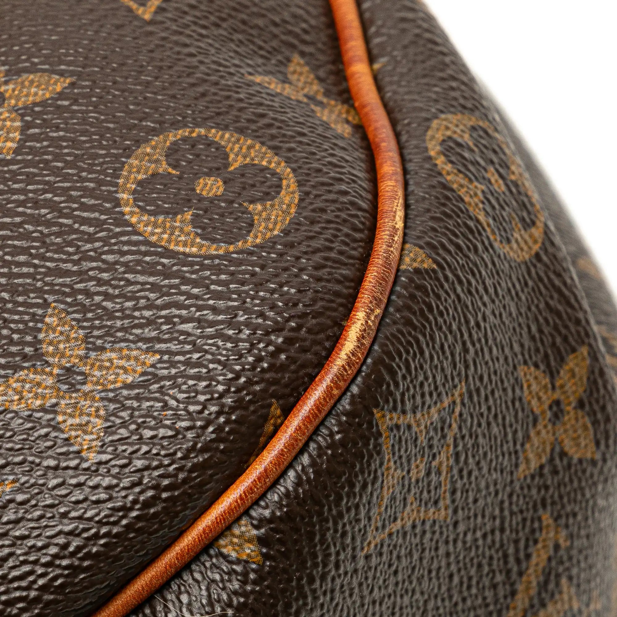 Louis Vuitton Galliera PM Monogram Canvas