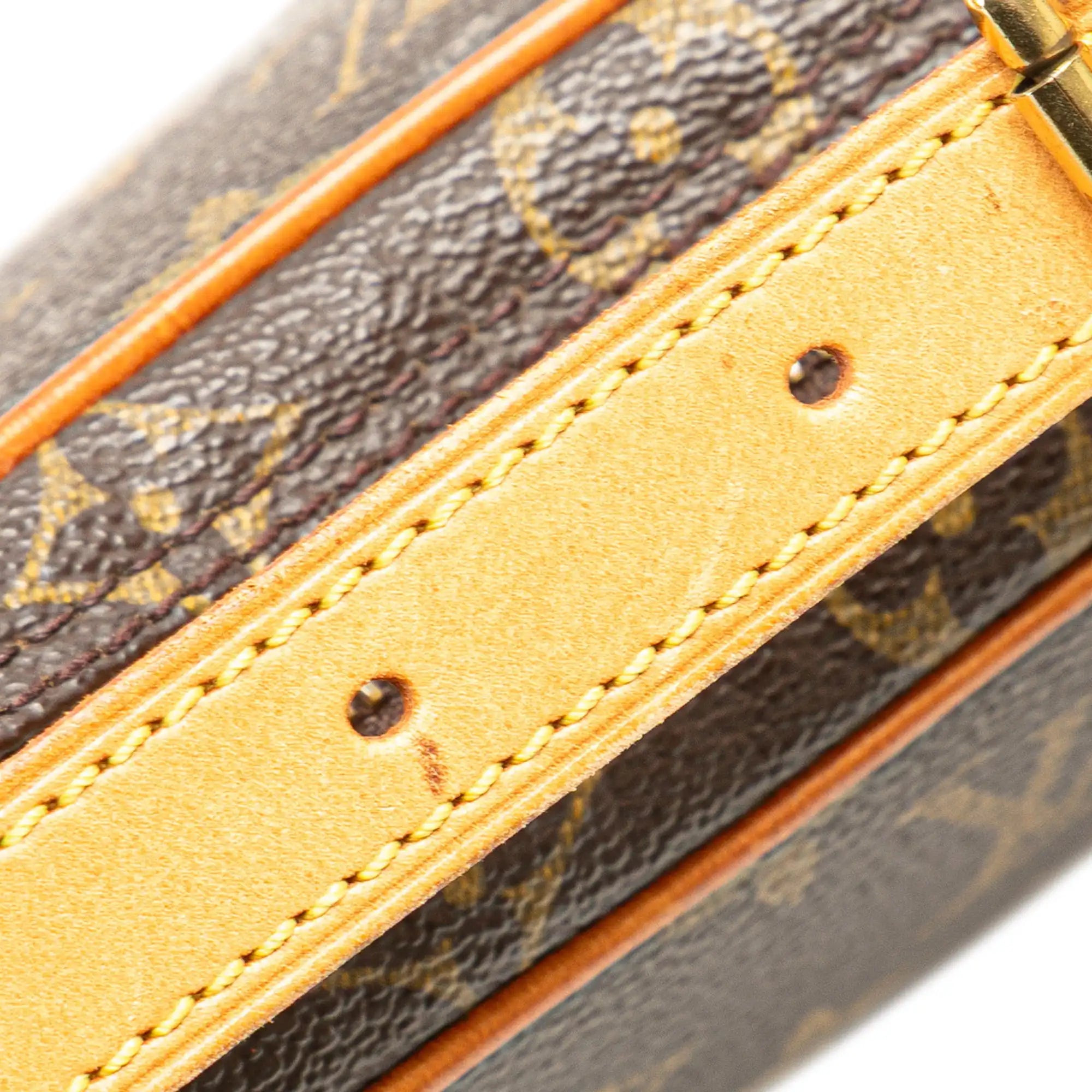 Louis Vuitton Croissant PM Monogram Canvas