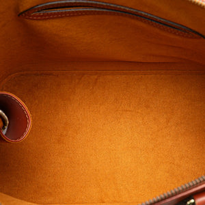 Louis Vuitton Alma PM Brown Epi