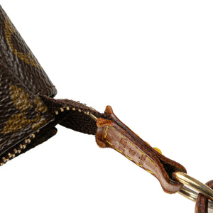 Louis Vuitton Pochette Accessoires Monogram Canvas
