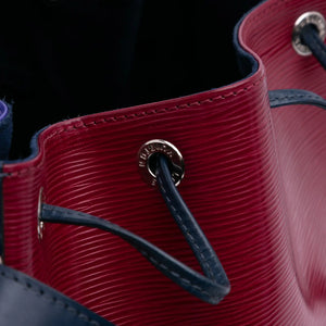 Louis Vuitton Noé Petit Tricolore Epi