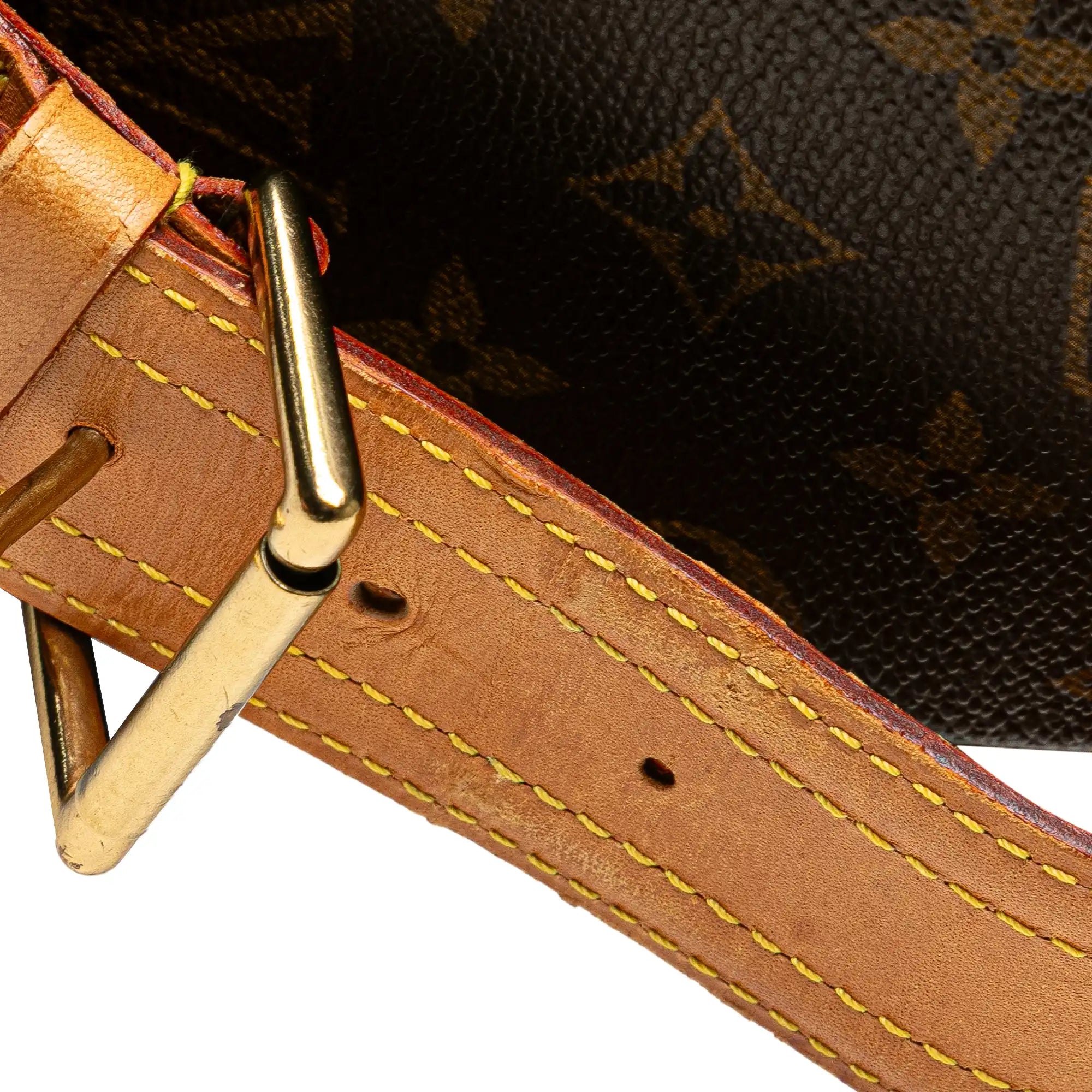 Louis Vuitton Viva Cite GM Monogram Canvas