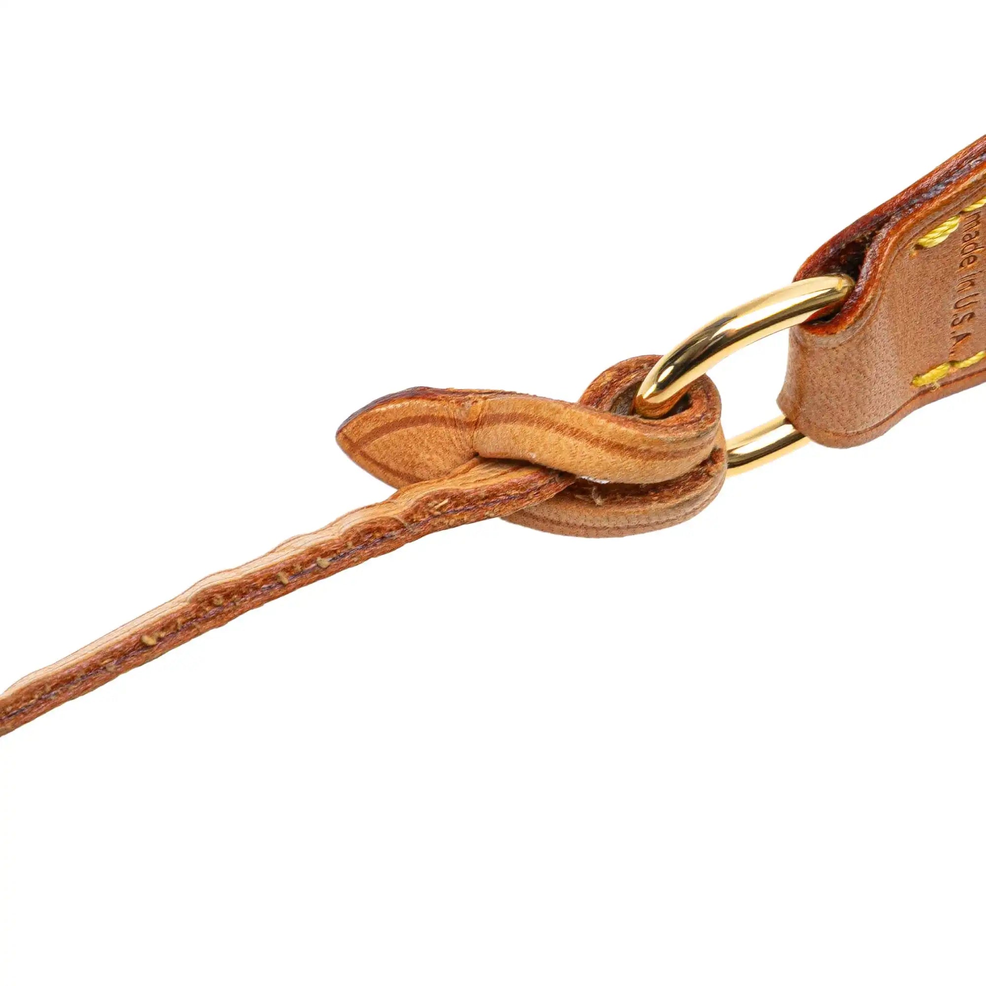 Louis Vuitton Pochette Accessoires Monogram Canvas