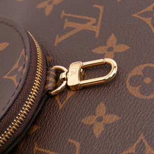 Louis Vuitton Multi-Pochette Accessoires Monogram Canvas