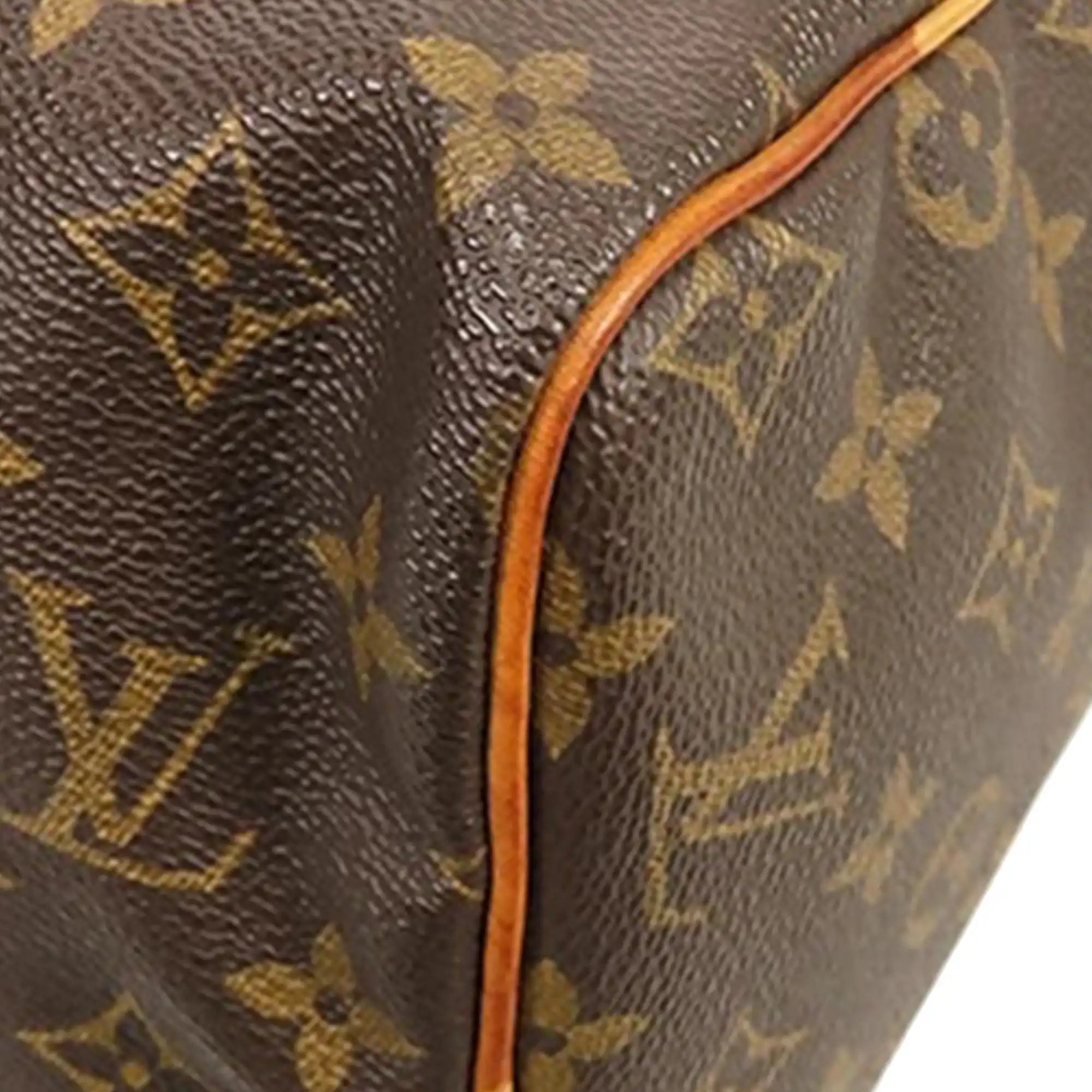 Louis Vuitton Speedy 30 Monogram Canvas