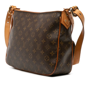 Louis Vuitton Hudson GM Monogram Canvas