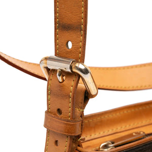 Louis Vuitton Hudson GM Monogram Canvas