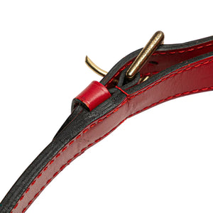 Louis Vuitton Petit Noé Red Epi