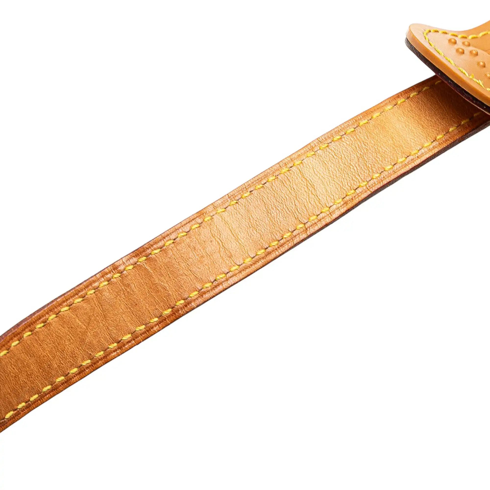 Louis Vuitton Sologne Monogram Canvas