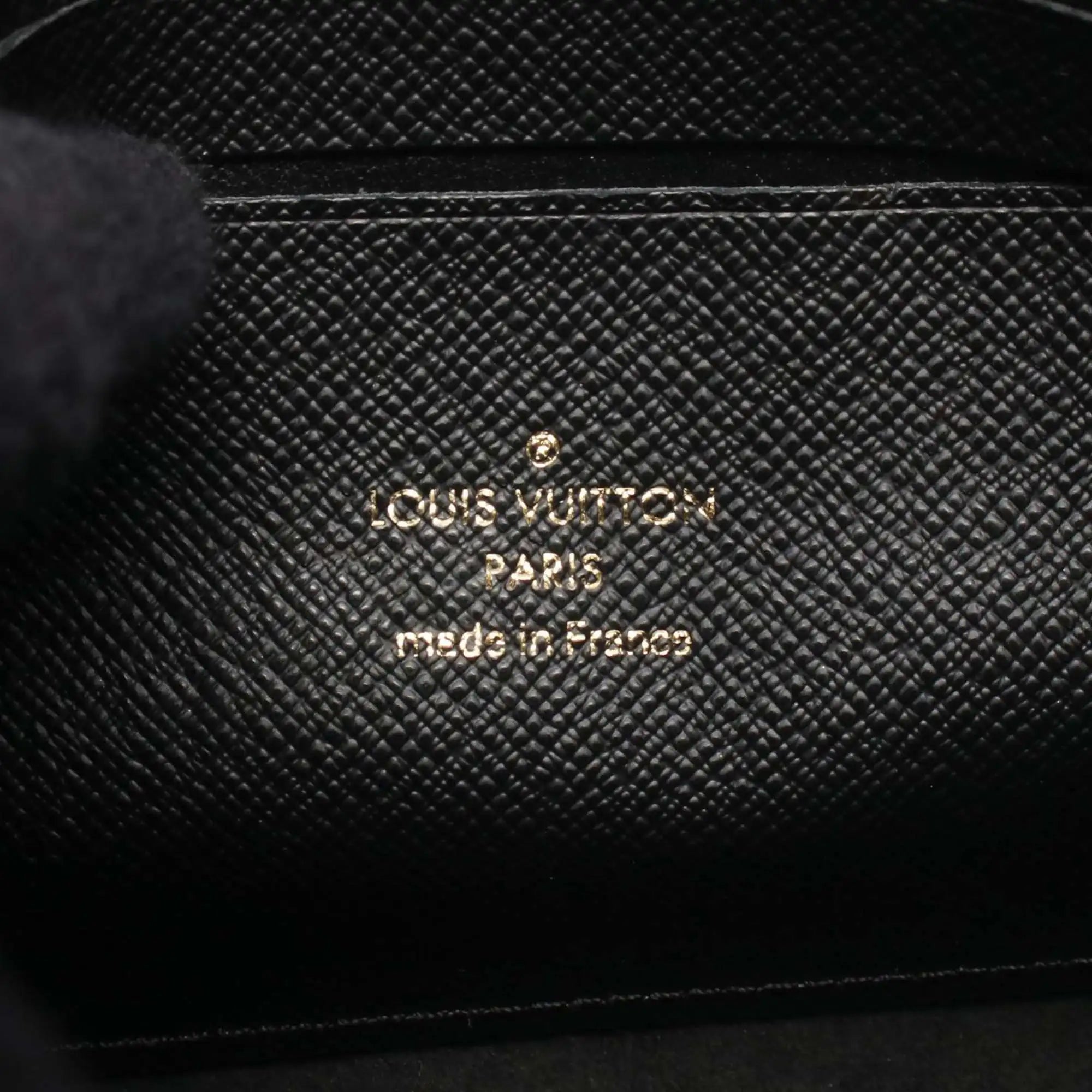 Louis Vuitton Double Zip Pochette Giant Monogram Canvas