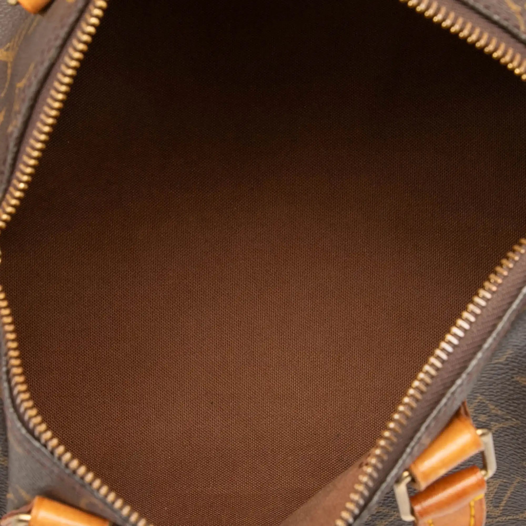 Louis Vuitton Speedy 25 Monogram Canvas