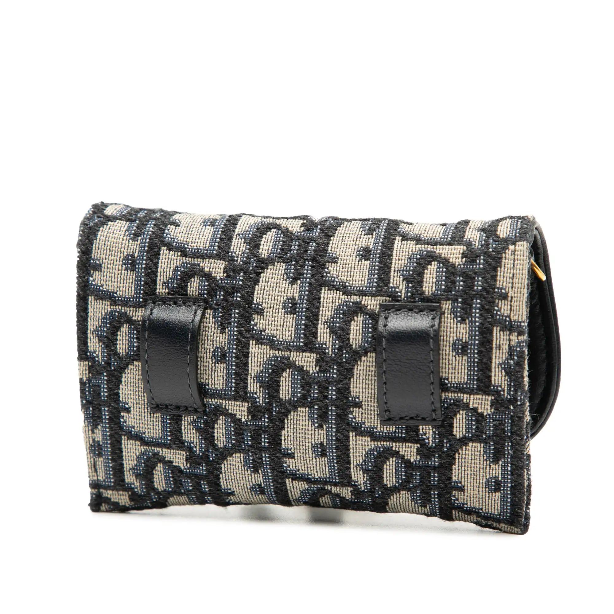 Dior Saddle Chain Pouch Nano Oblique Canvas