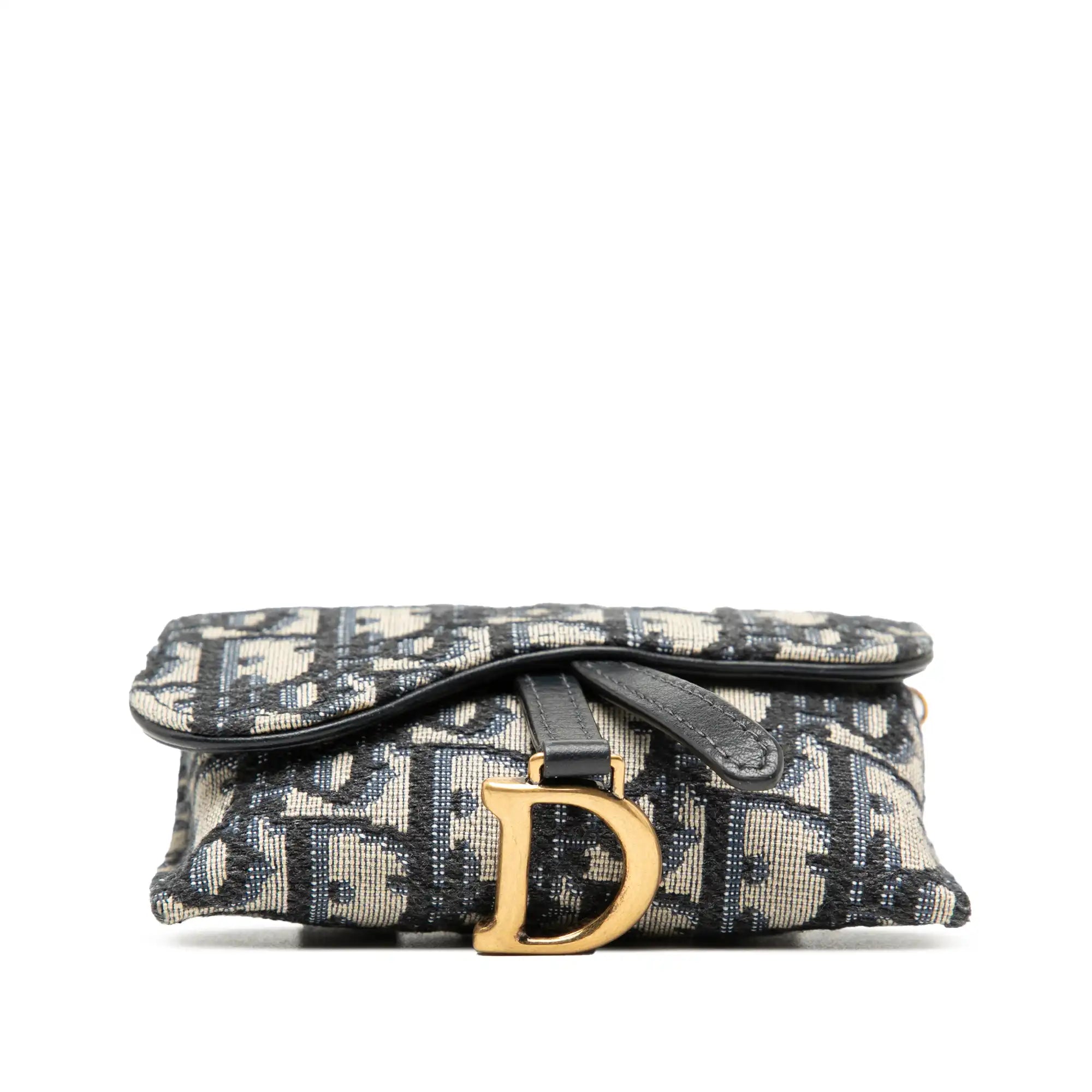Dior Saddle Chain Pouch Nano Oblique Canvas