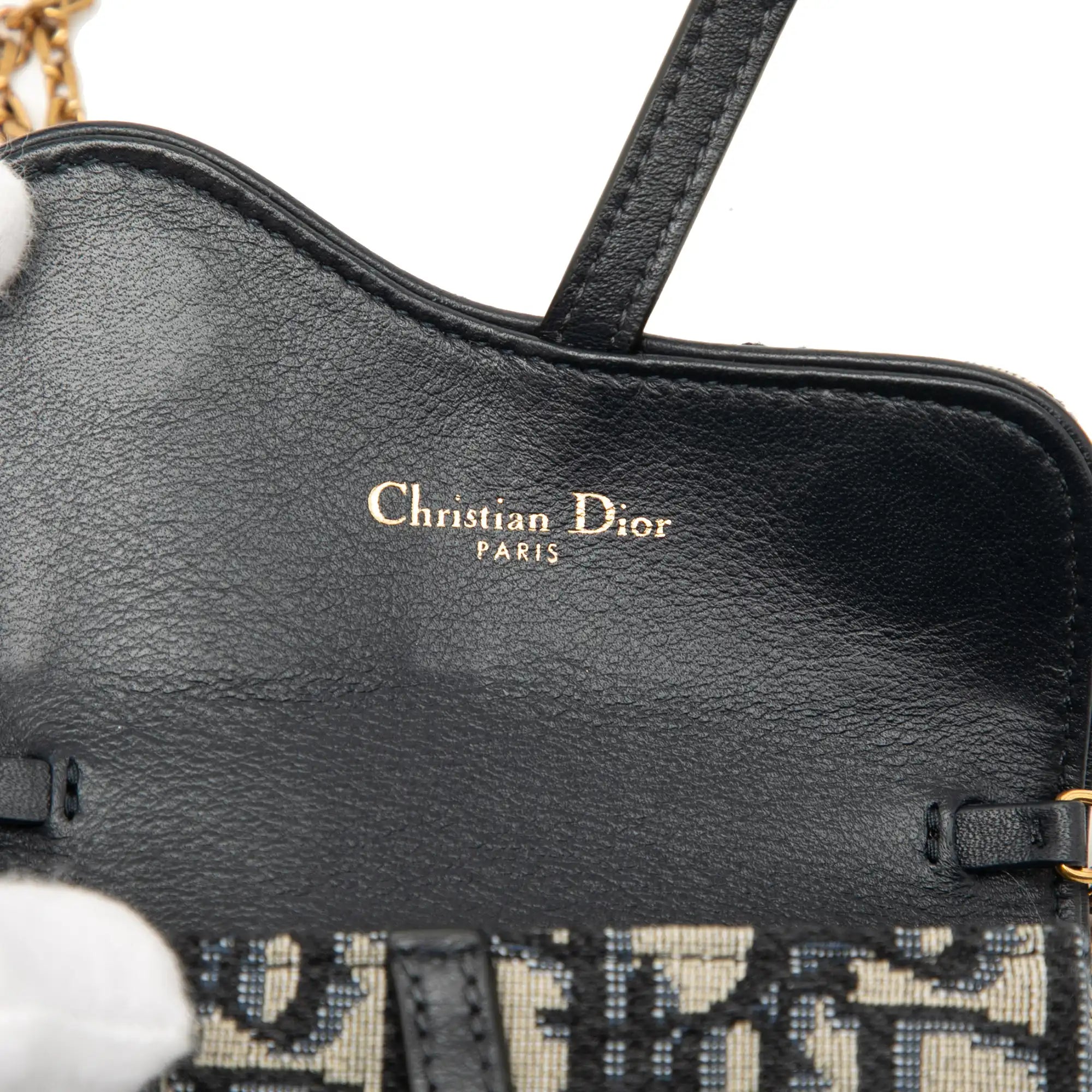 Dior Saddle Chain Pouch Nano Oblique Canvas