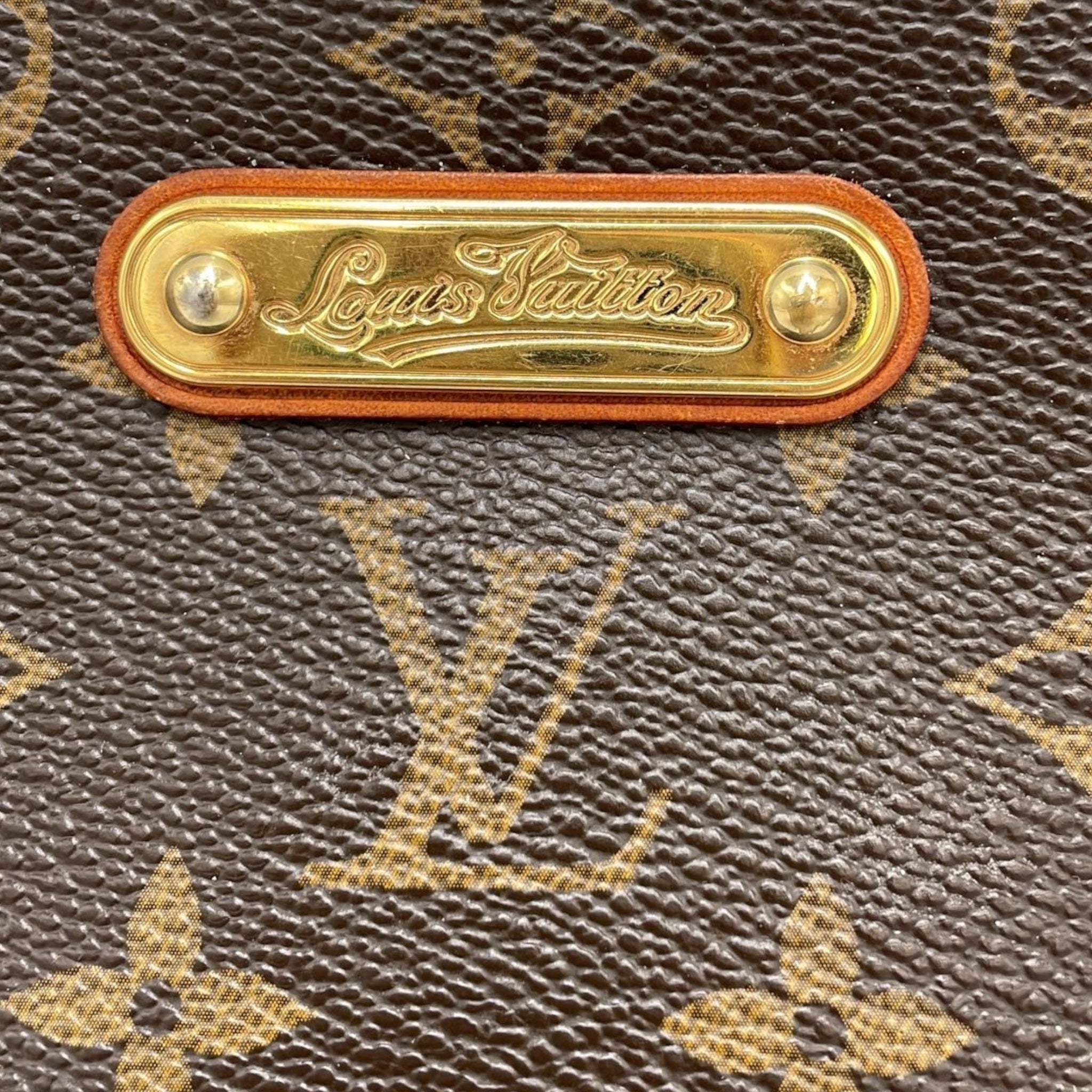 Louis Vuitton Pochette Accessoires Monogramme Canvas