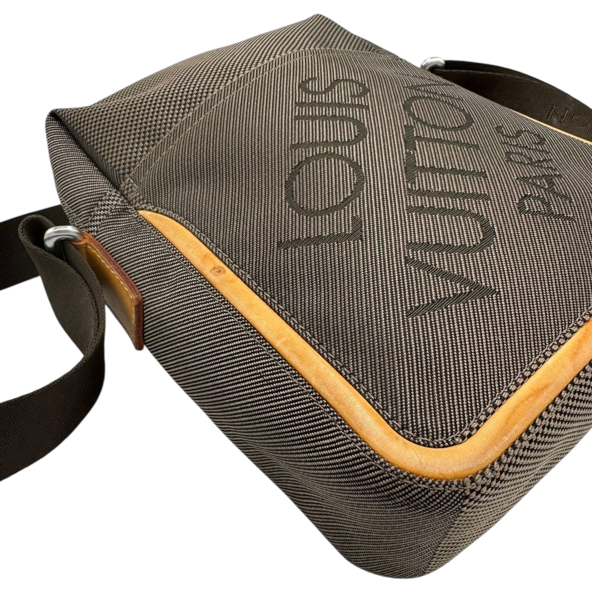 Louis Vuitton Earth Messenger Bag Damier Geant Canvas