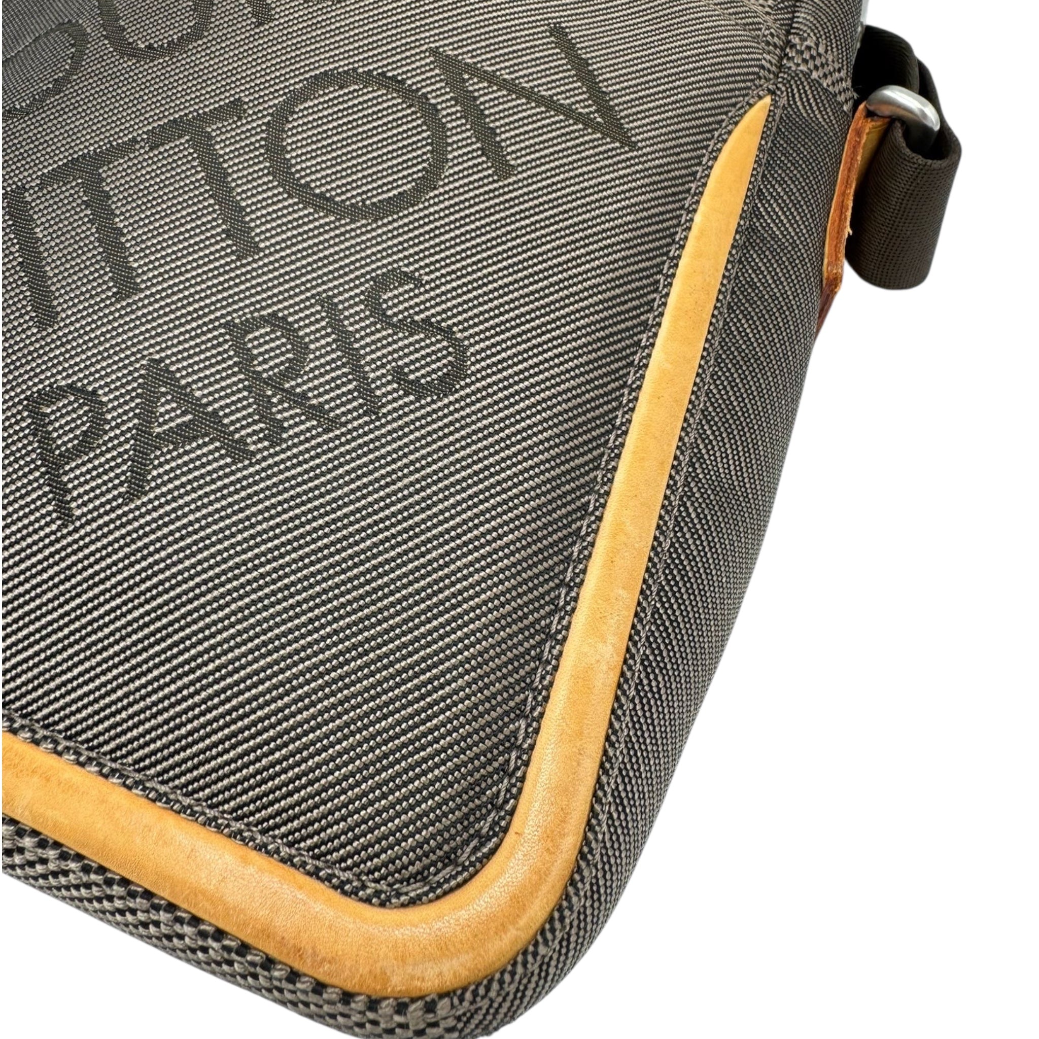 Louis Vuitton Earth Messenger Bag Damier Geant Canvas