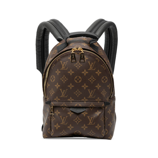 Louis Vuitton Palm Springs PM Monogram Canvas