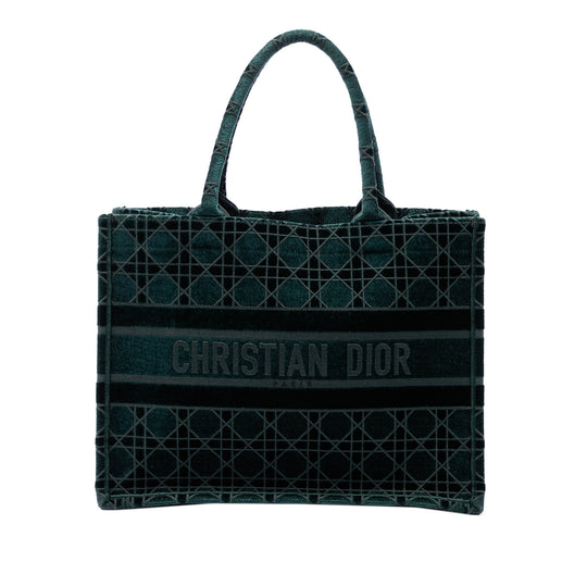 Dior Book Tote Medium Green Embroidered Velvet