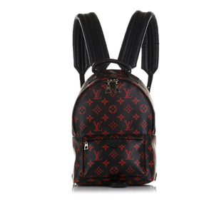 Louis Vuitton Monogram Palm Spring PM - Brown Backpacks, Handbags