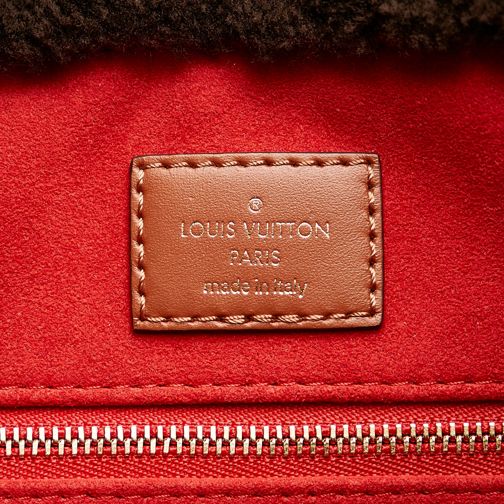 Louis Vuitton Teddy Onthego Brown Monogram Giant Shearling