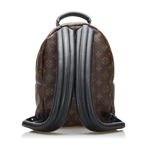 Louis Vuitton Vintage - Monogram Reverse Palm Springs PM Backpack